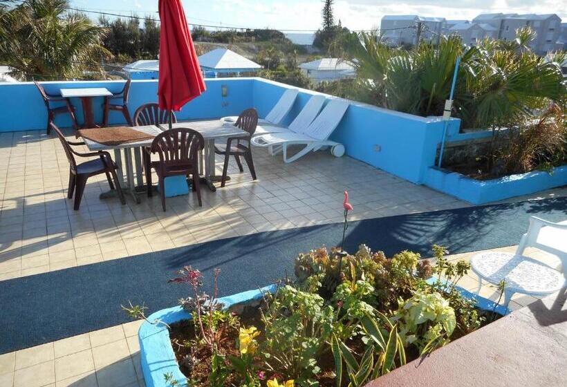 هتل Blue Horizons Guest House