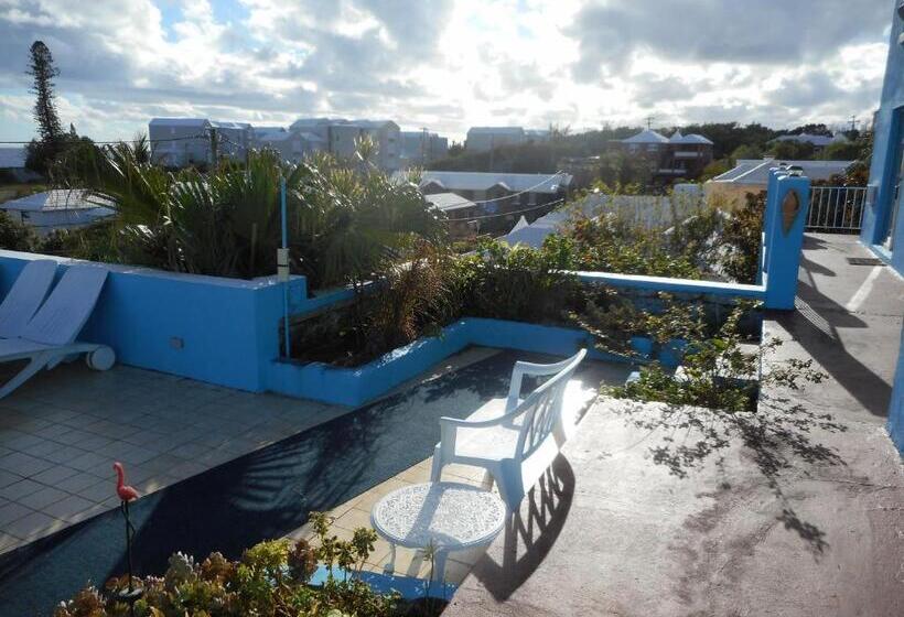 هتل Blue Horizons Guest House