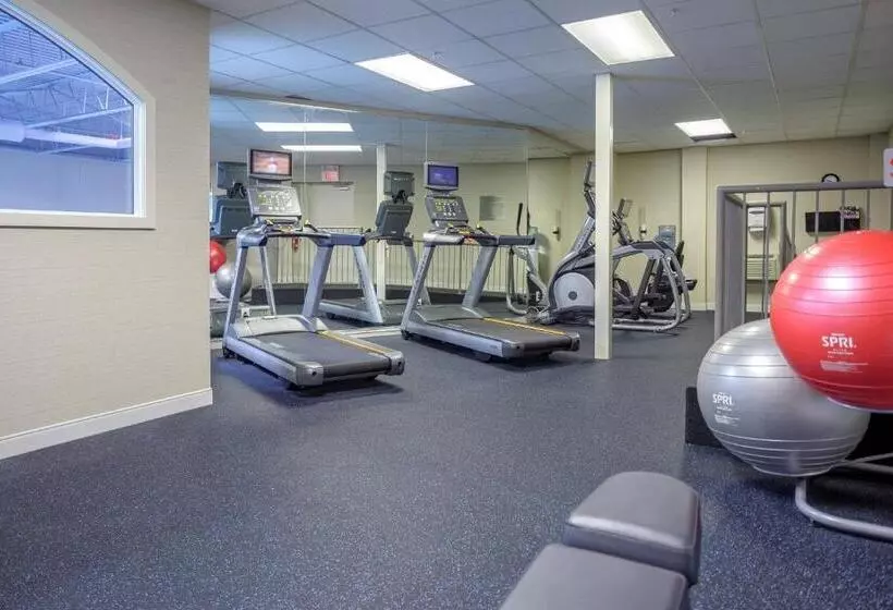 בית מלון כפרי Fairfield Inn & Suites By Marriott Belleville