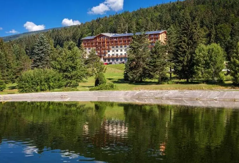 בית מלון כפרי Partizan