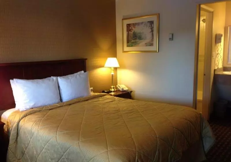 Super 8 Motel