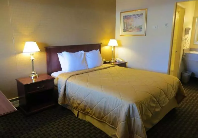Super 8 Motel