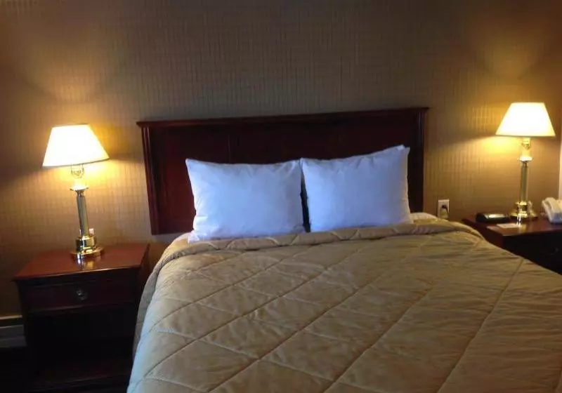 Super 8 Motel