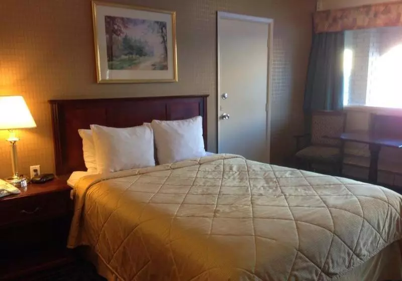 Super 8 Motel