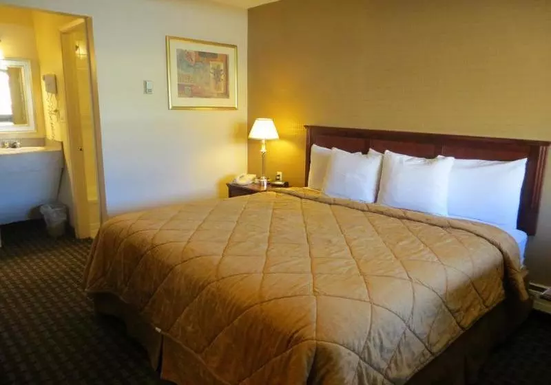 Super 8 Motel