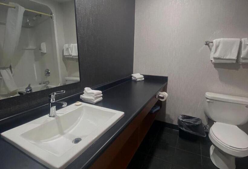 Americana Waterpark Resort & Spa