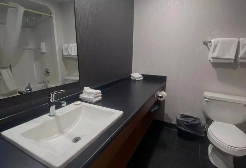 Americana Waterpark Resort & Spa