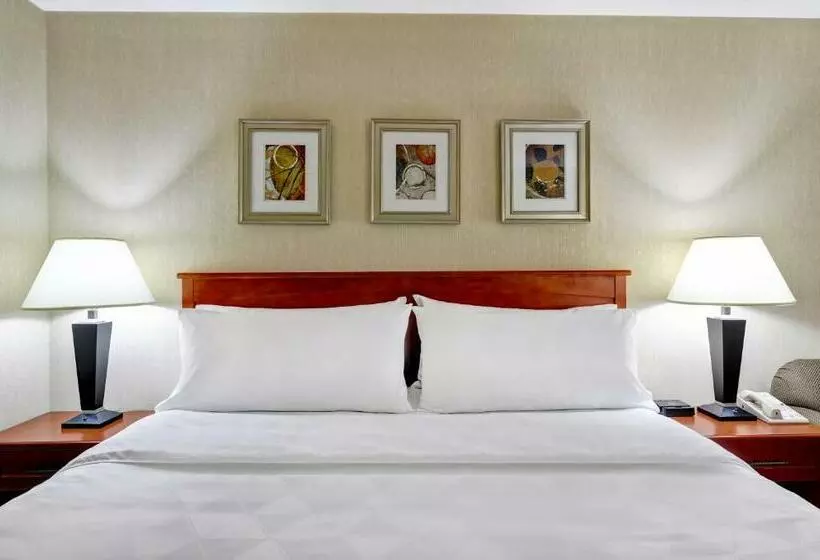 酒店 Holiday Inn Guelph And Conference Centre, An Ihg
