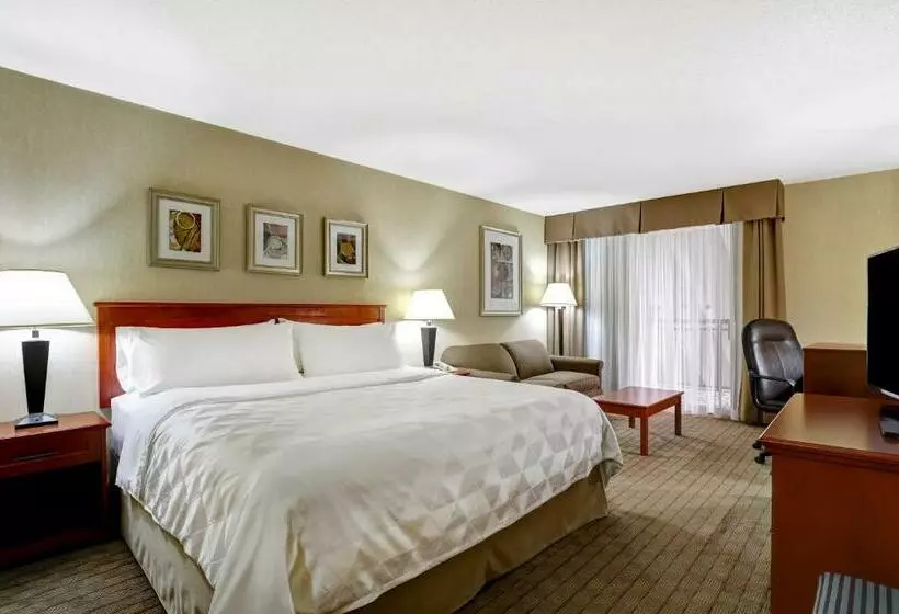 酒店 Holiday Inn Guelph And Conference Centre, An Ihg