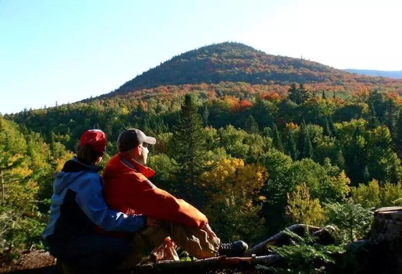 호텔 Auberge Alpine Inn