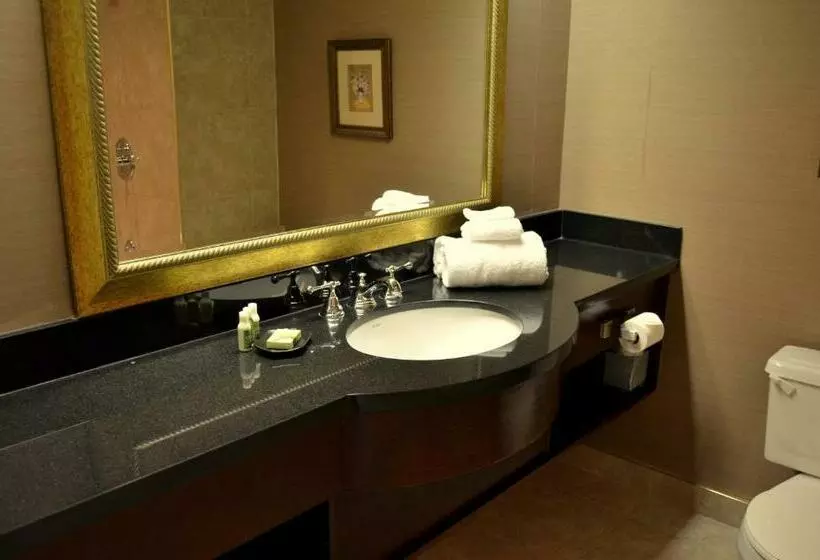 בית מלון כפרי Best Western Plus Ottawa Downtown Suites