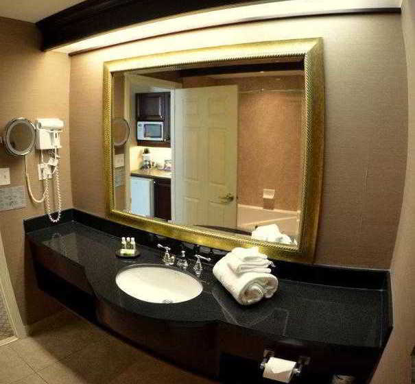 فندق Best Western Plus Ottawa Downtown Suites