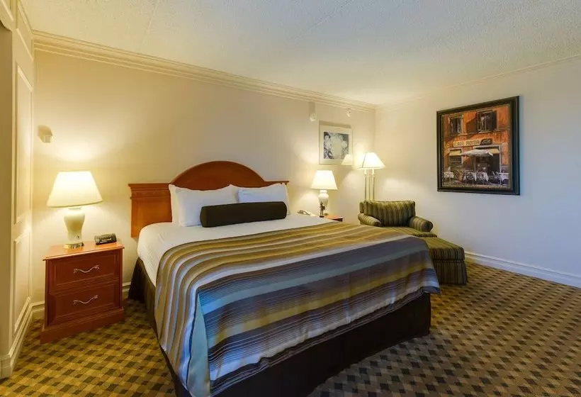 Szálloda Black Knight Inn