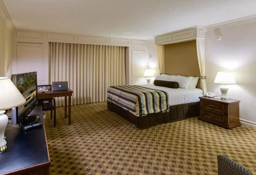 Szálloda Black Knight Inn