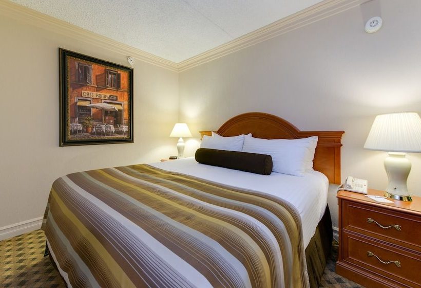 هتل Black Knight Inn