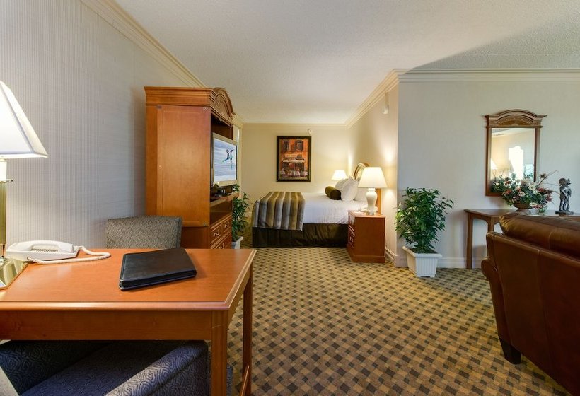 هتل Black Knight Inn