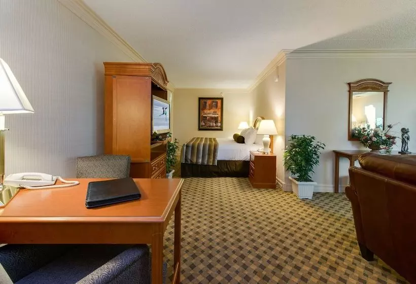 Szálloda Black Knight Inn