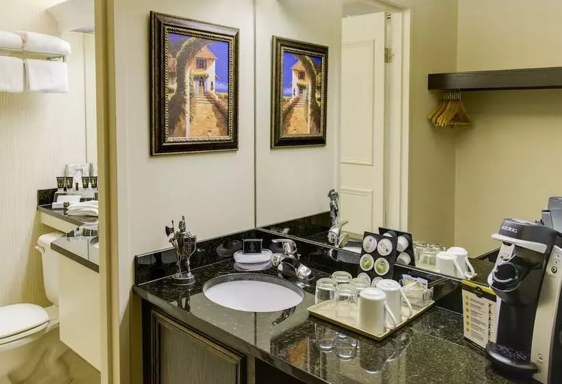 Szálloda Black Knight Inn