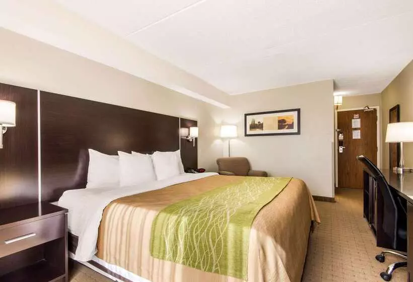 酒店 Comfort Inn Airport West