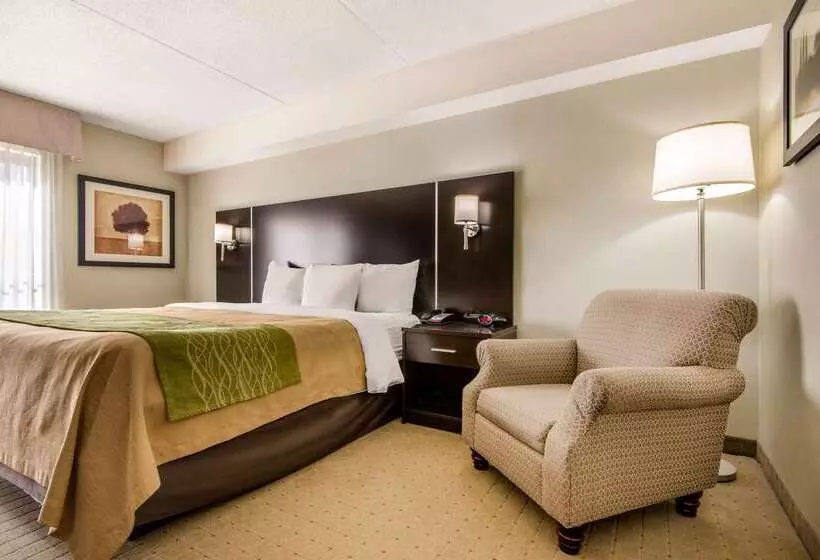 酒店 Comfort Inn Airport West