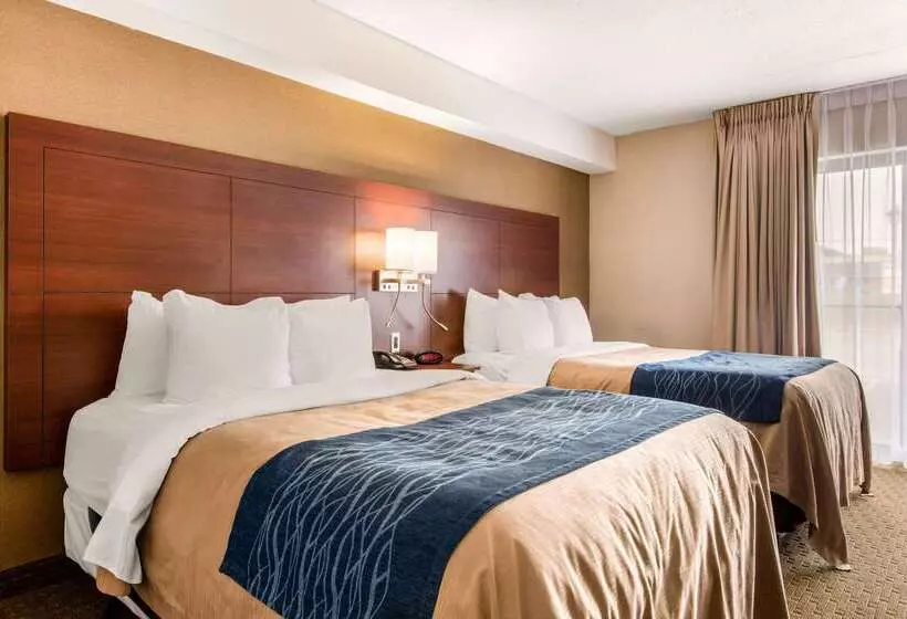 酒店 Comfort Inn Airport West
