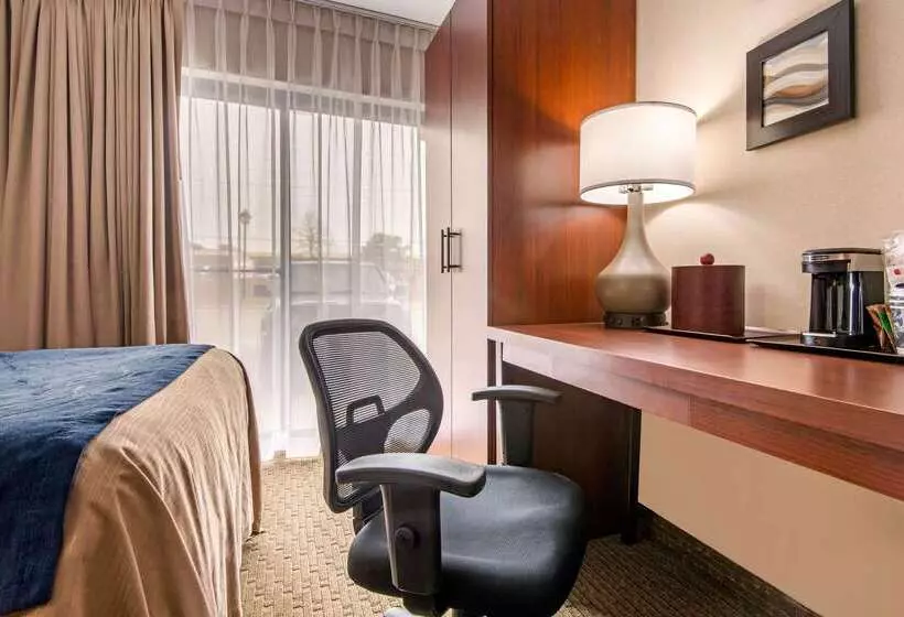 酒店 Comfort Inn Airport West