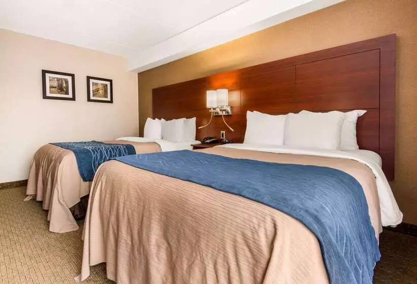 酒店 Comfort Inn Airport West