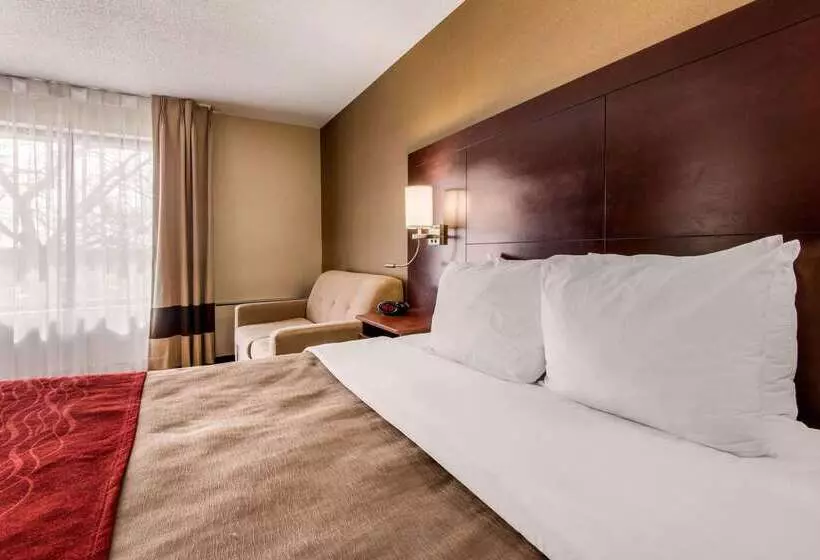 酒店 Comfort Inn Airport West
