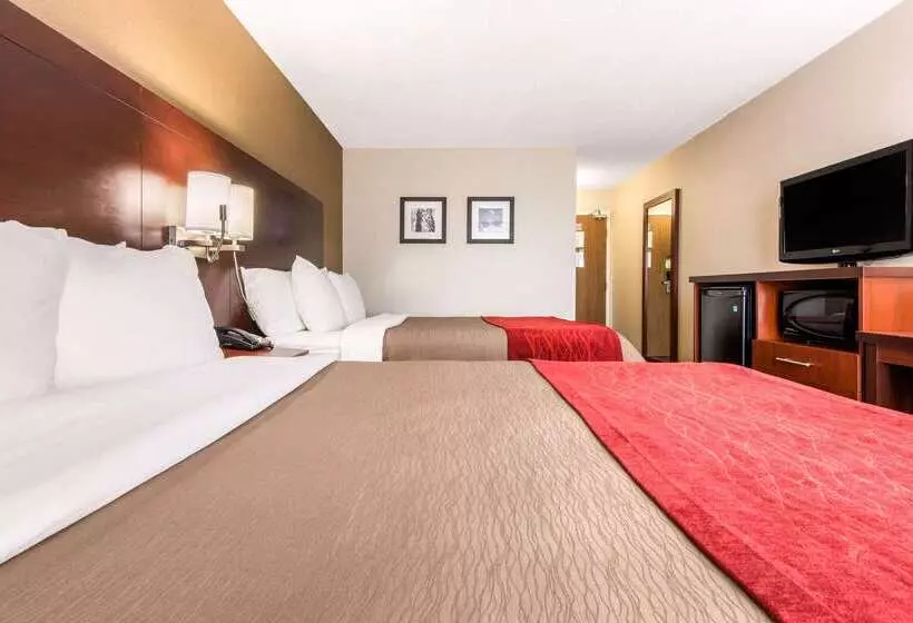 酒店 Comfort Inn Airport West