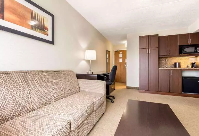 酒店 Comfort Inn Airport West