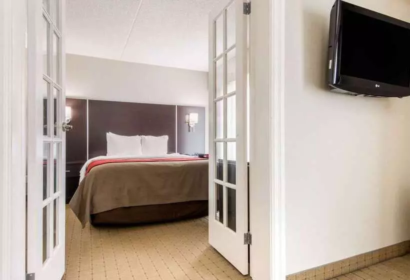 酒店 Comfort Inn Airport West