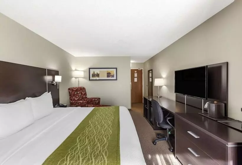 酒店 Comfort Inn Airport West