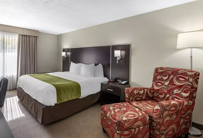 酒店 Comfort Inn Airport West