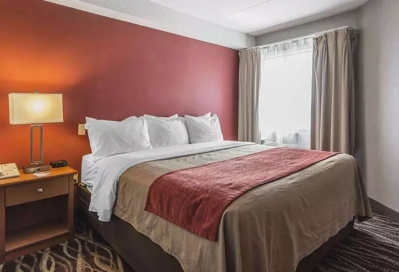 فندق Comfort Inn Oshawa