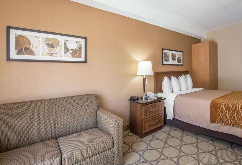 ホテル Comfort Inn Sherbrooke