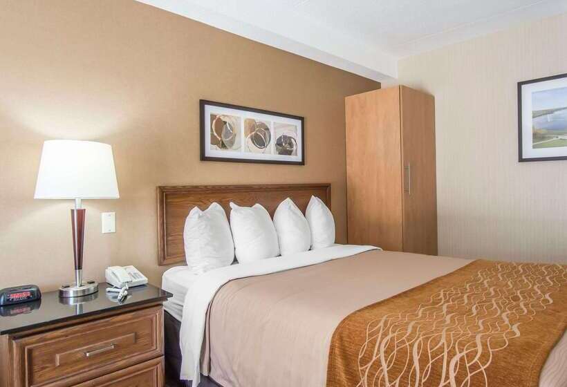 ホテル Comfort Inn Sherbrooke