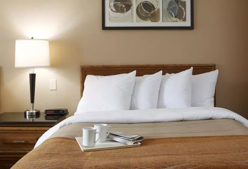 فندق Comfort Inn Sherbrooke