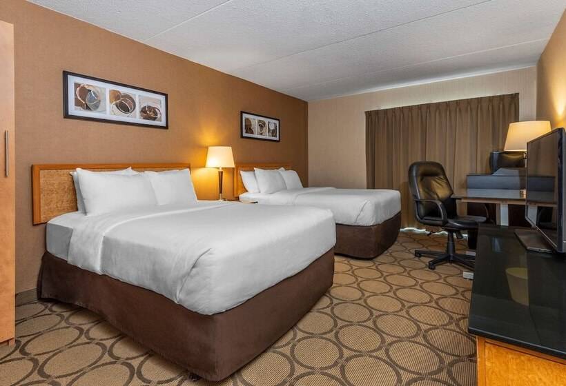 ホテル Comfort Inn Sherbrooke
