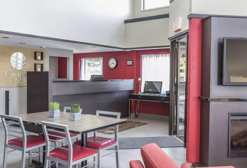 فندق Comfort Inn