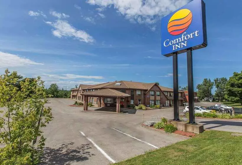 فندق Comfort Inn