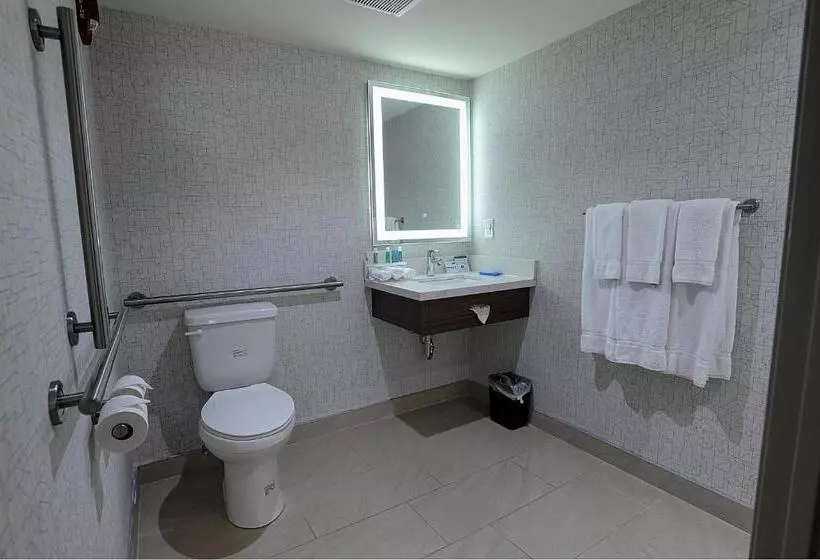 ホテル Holiday Inn Express & Suites Toronto Airport West, An Ihg