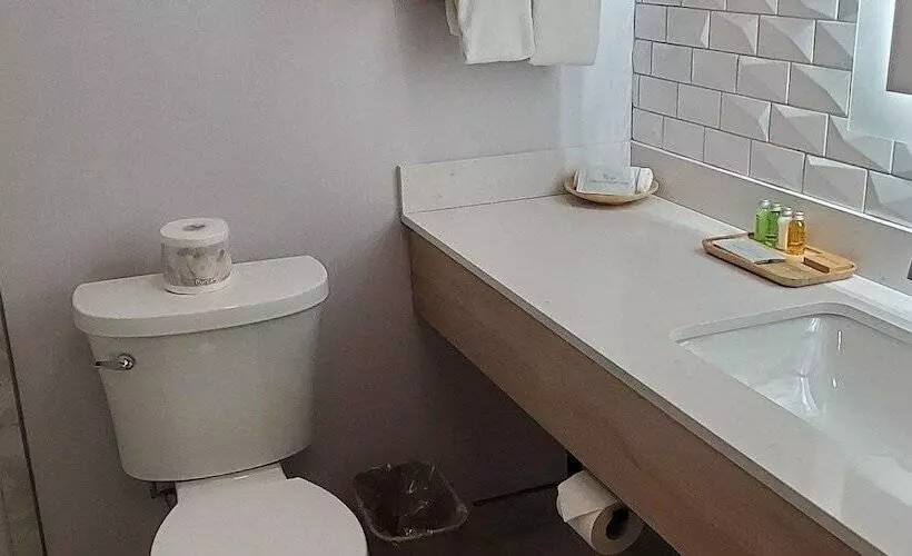 Hotel Mountaineer Lodge