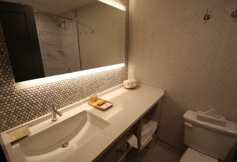 هتل Mountaineer Lodge