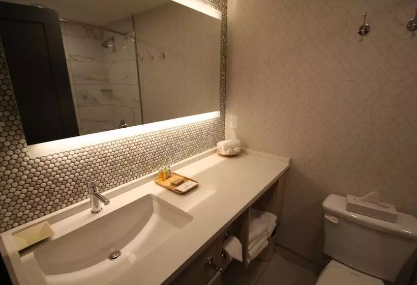 Hotel Mountaineer Lodge