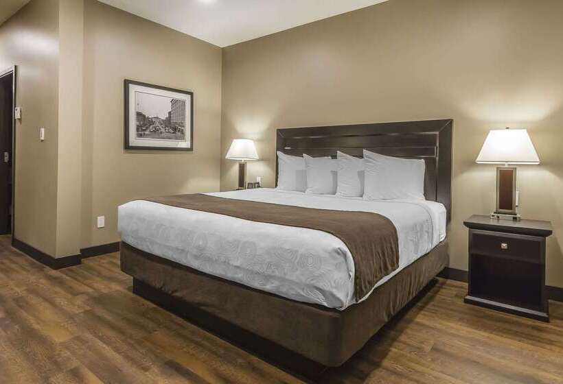 هتل Quality Inn & Suites