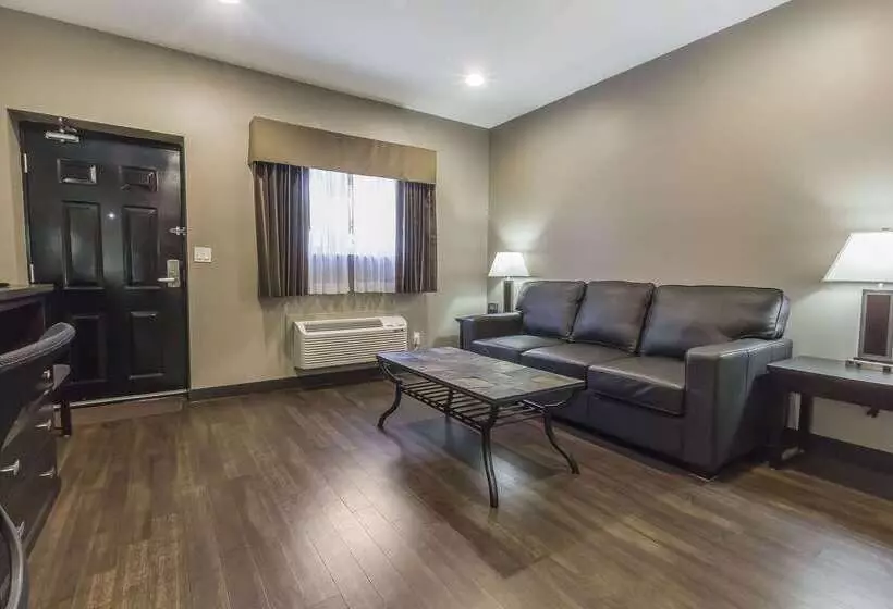 酒店 Quality Inn & Suites