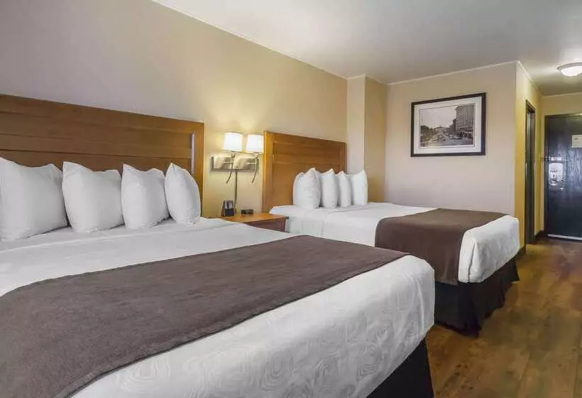 酒店 Quality Inn & Suites