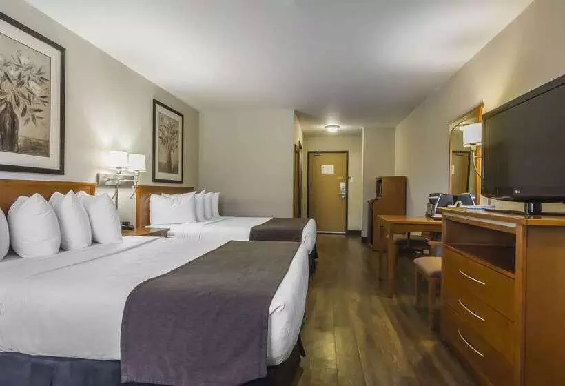 酒店 Quality Inn & Suites