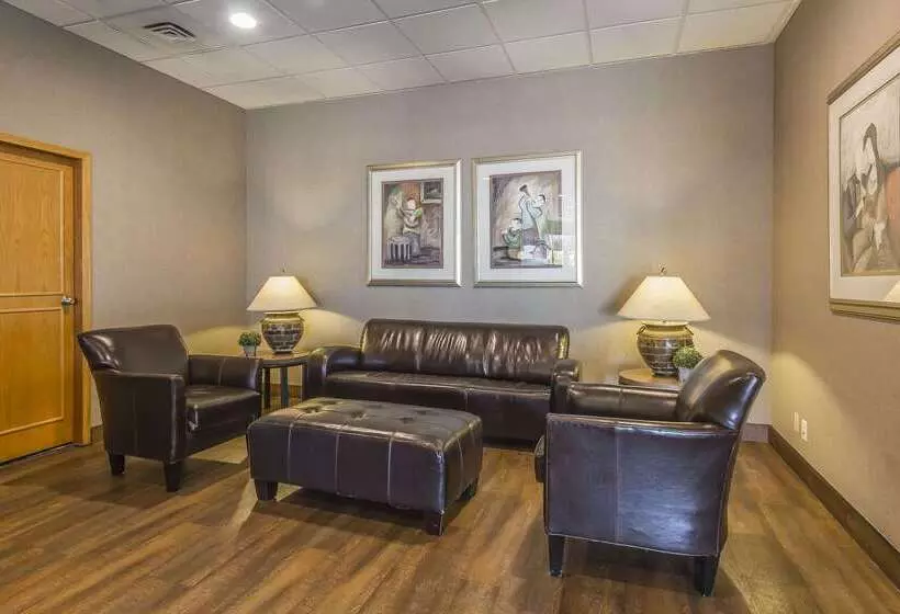 酒店 Quality Inn & Suites