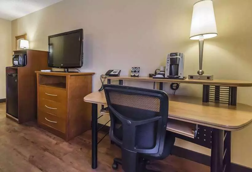 酒店 Quality Inn & Suites